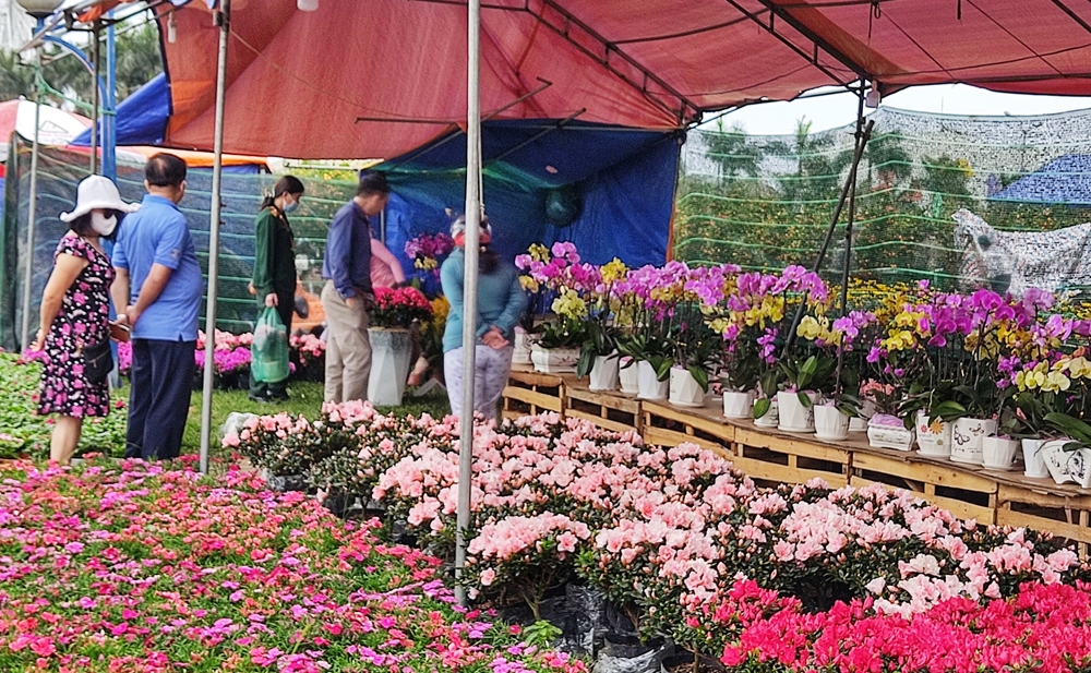 Chợ hoa tại khu vực Quảng trường 2 tháng 9 nhộn nhịp kẻ bán, người mua.